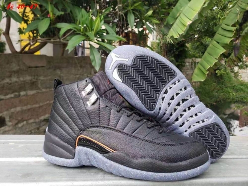 Air Jordan 12-064