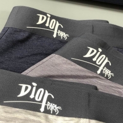 D.i.o.r. Men Underwear 245