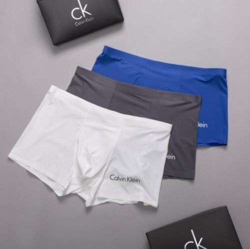 C.K. Men Underwear 423