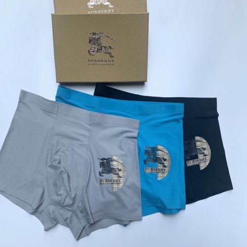 B.u.r.b.e.r.r.y. Men Underwear 491