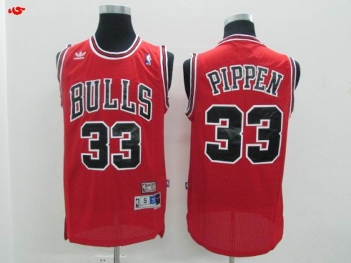 NBA-Chicago Bulls 294