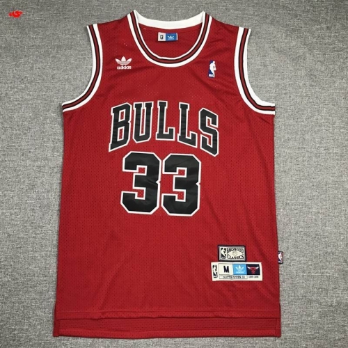 NBA-Chicago Bulls 295