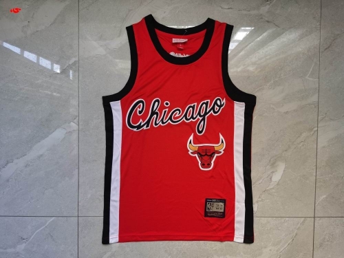 NBA-Chicago Bulls 386