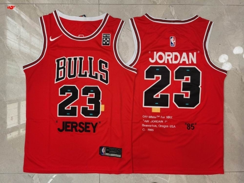 NBA-Chicago Bulls 379