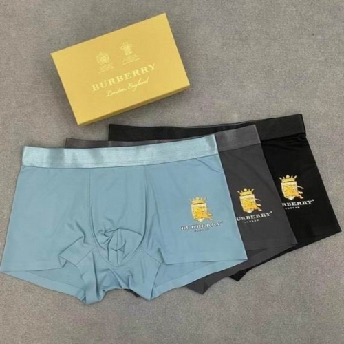 B.u.r.b.e.r.r.y. Underwear 510 Men