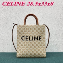 C.E.L.I.N.E. Bags AAA 002