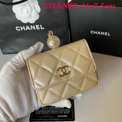 C.H.A.N.E.L. Purse AAA 007