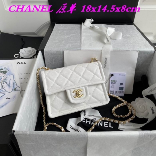 C.H.A.N.E.L. Bags AAA 829