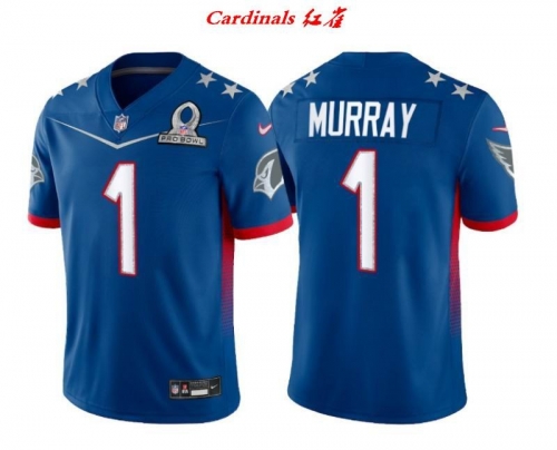 NFL Arizona Cardinals 048 Men