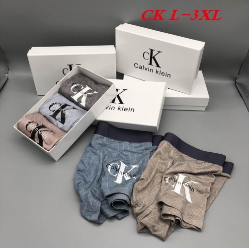 C.K. Underwear Men 1138