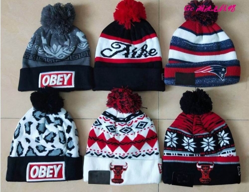 Classic Beanies 1069