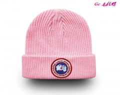 Fashion Beanies AAA 1057