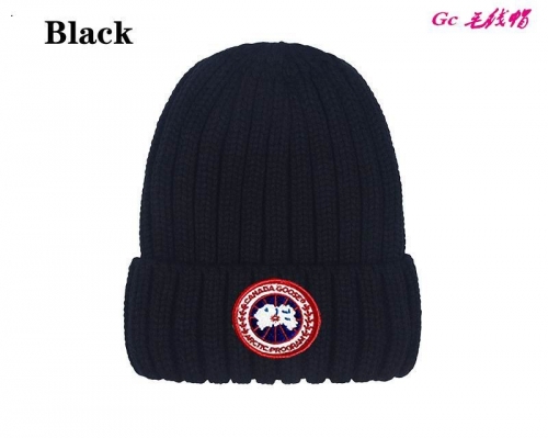 Fashion Beanies AAA 1041