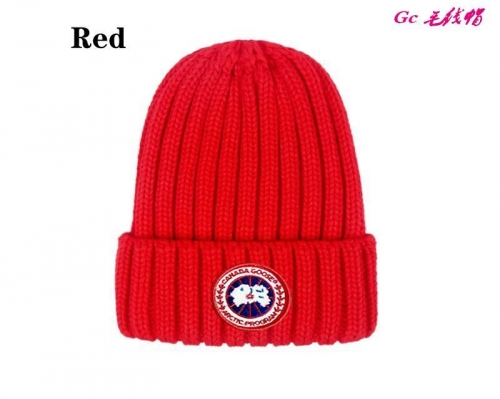 Fashion Beanies AAA 1040