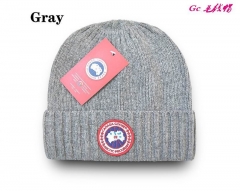 Fashion Beanies AAA 1052