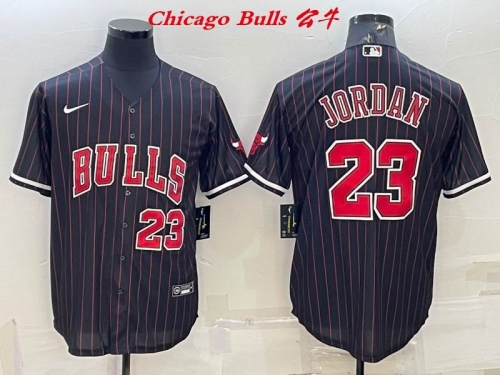 NBA-Chicago Bulls 518 Men