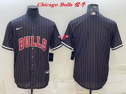 NBA-Chicago Bulls 517 Men