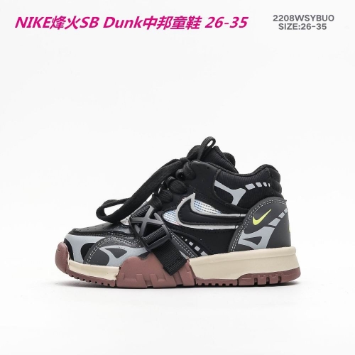 Dunk SB Kids 185