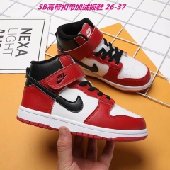 Dunk SB Kids 241 add Wool