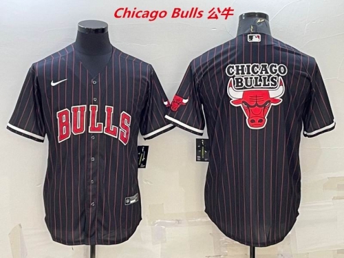 NBA-Chicago Bulls 519 Men