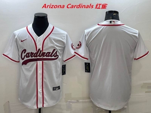 NFL Arizona Cardinals 060 Men