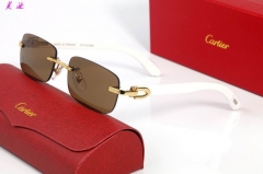 C.a.r.t.i.e.r. Glasses AAA 1404