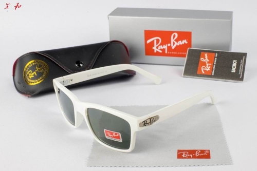 R.a.y.B.a.n. Sunglasses A 1100
