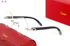 C.a.r.t.i.e.r. Glasses AAA 1291