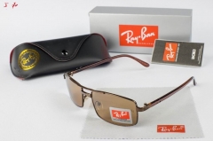 R.a.y.B.a.n. Sunglasses A 1134