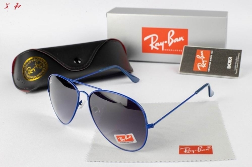 R.a.y.B.a.n. Sunglasses A 1110