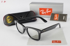R.a.y.B.a.n. Sunglasses A 1012