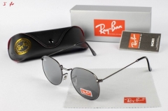 R.a.y.B.a.n. Sunglasses A 1129