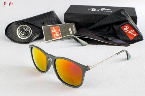 R.a.y.B.a.n. Sunglasses AAA 1181