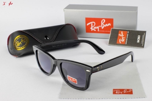 R.a.y.B.a.n. Sunglasses A 1015