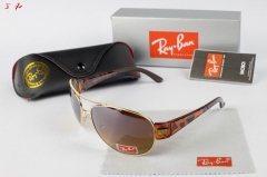 R.a.y.B.a.n. Sunglasses A 1144