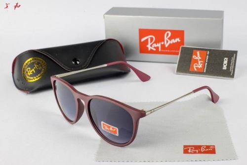 R.a.y.B.a.n. Sunglasses A 1025