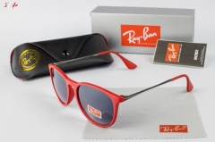 R.a.y.B.a.n. Sunglasses A 1029