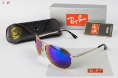 R.a.y.B.a.n. Sunglasses A 1174