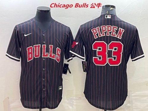 NBA-Chicago Bulls 531 Men