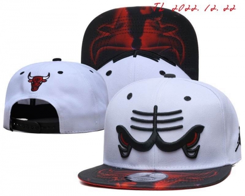 J.O.R.D.A.N. Snapbacks 1055