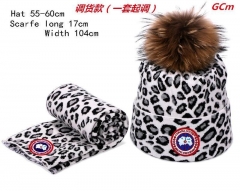 Fashion Hat Scarf Set AAA 011