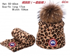 Fashion Hat Scarf Set AAA 007