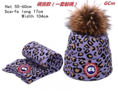 Fashion Hat Scarf Set AAA 008