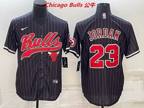 NBA-Chicago Bulls 547 Men