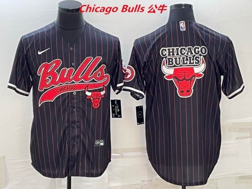 NBA-Chicago Bulls 546 Men