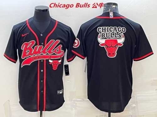 NBA-Chicago Bulls 541 Men