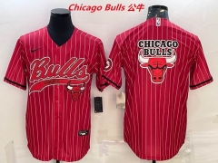 NBA-Chicago Bulls 552 Men