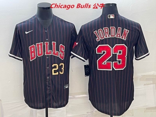 NBA-Chicago Bulls 578 Men