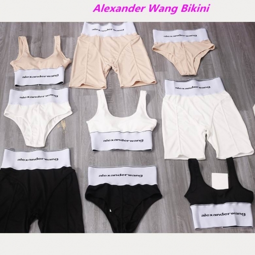 A.l.e.x.a.n.d.e.r. Wang Bikini 1013 Women