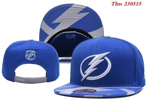 NHL Snapbacks 1105